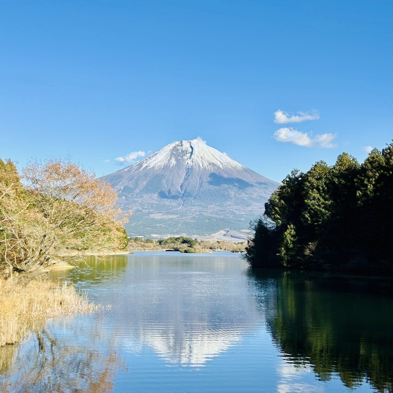湖越しに望む雪化粧の富士山